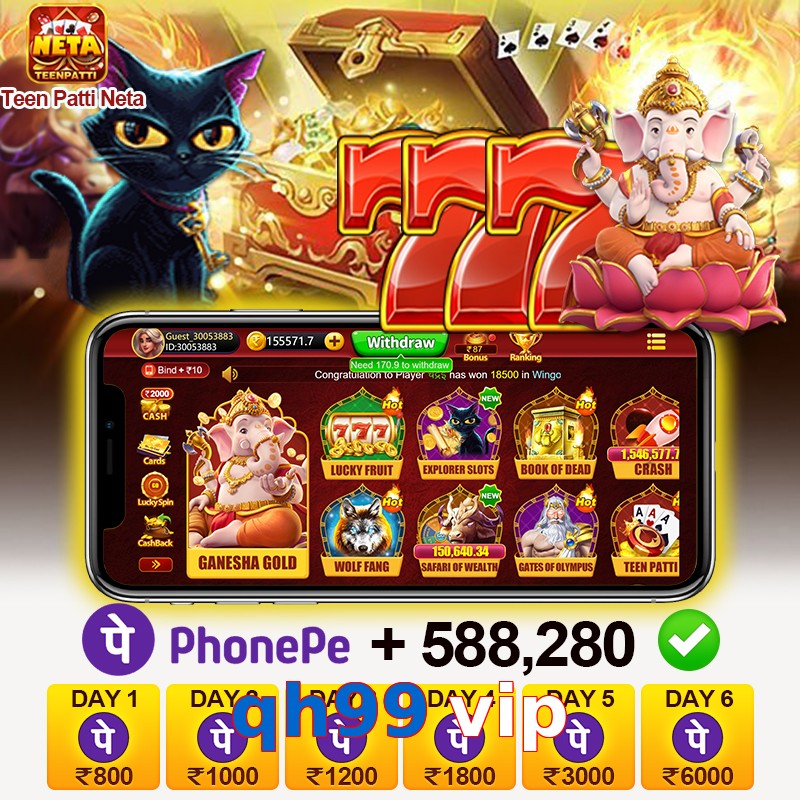 qh99 vip