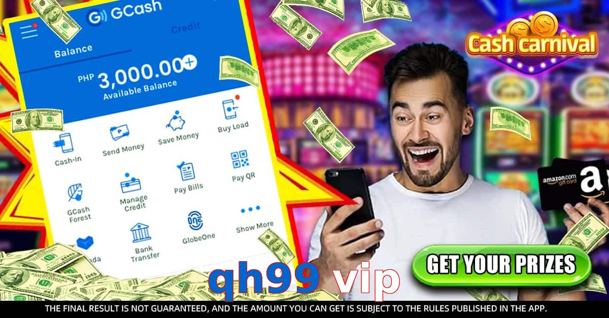 qh99 vip