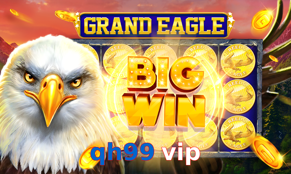 qh99 vip