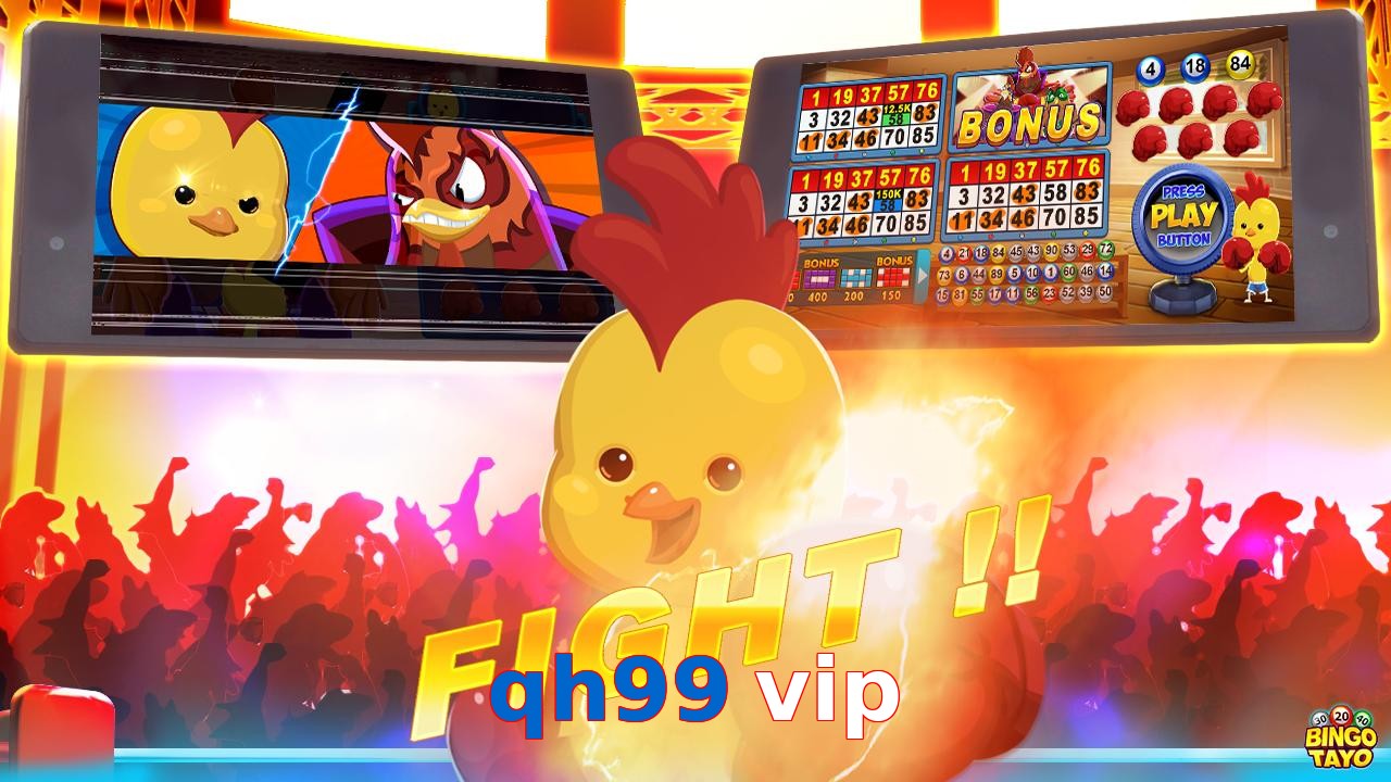 qh99 vip