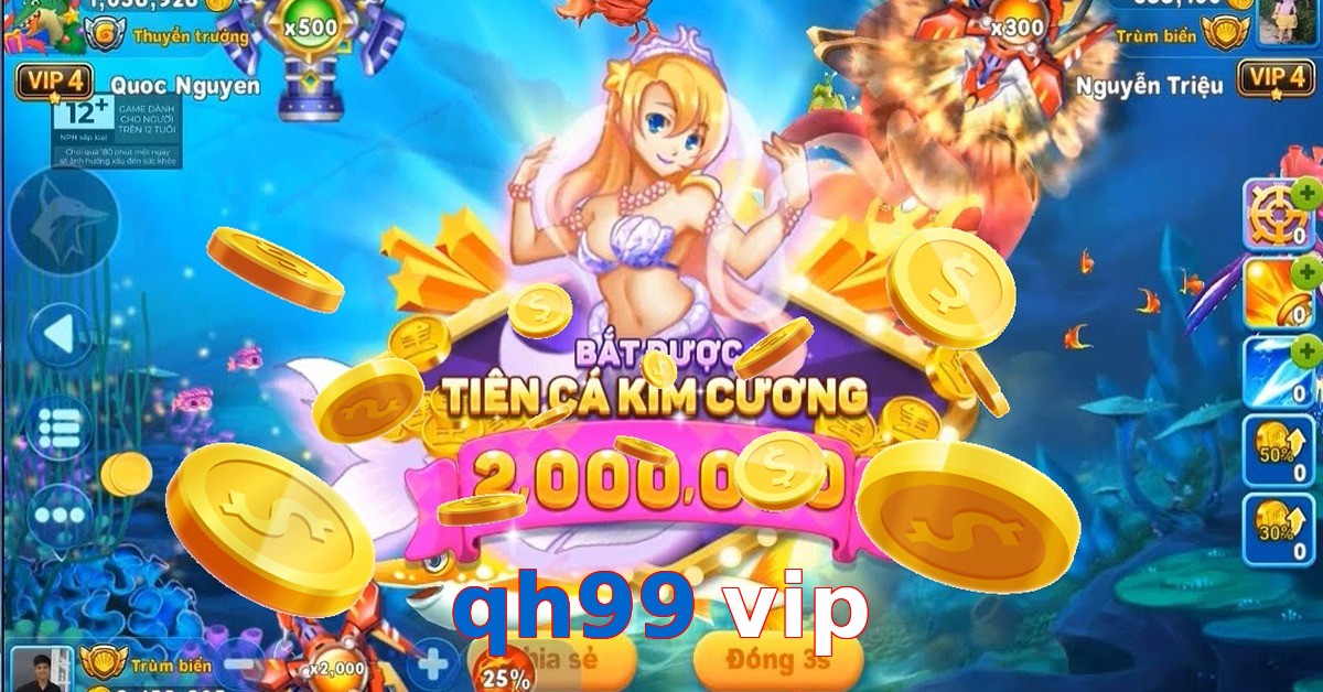 qh99 vip