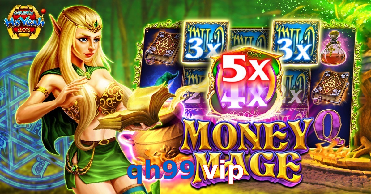 qh99 vip