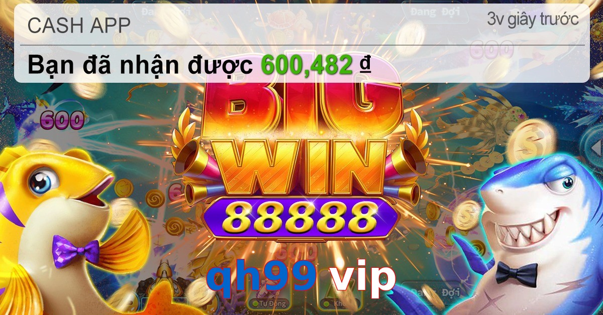 qh99 vip