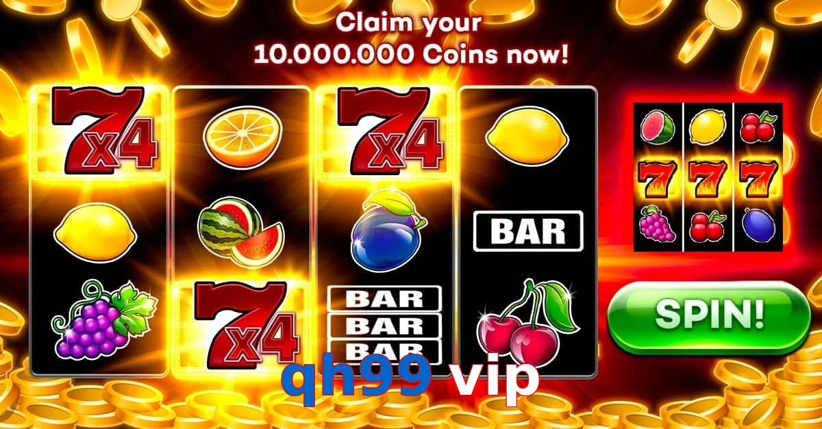 qh99 vip