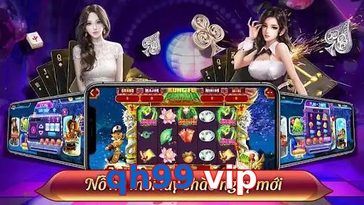 qh99 vip