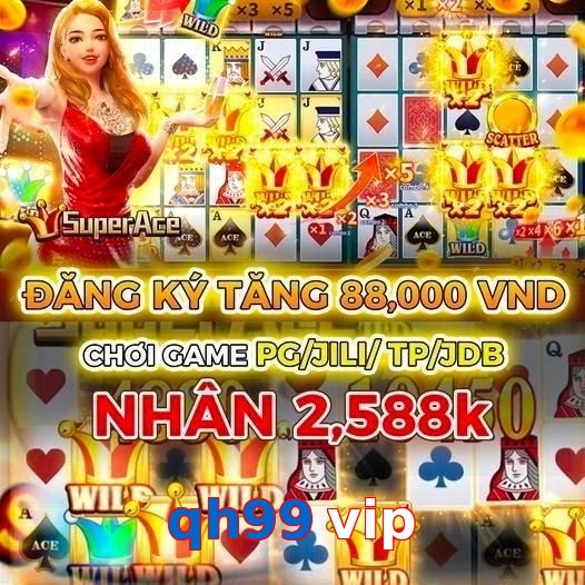 qh99 vip